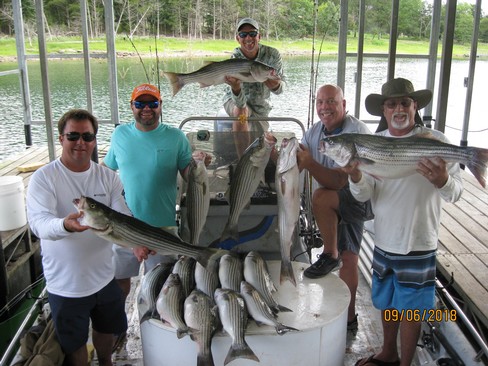 Nice Striped Bass